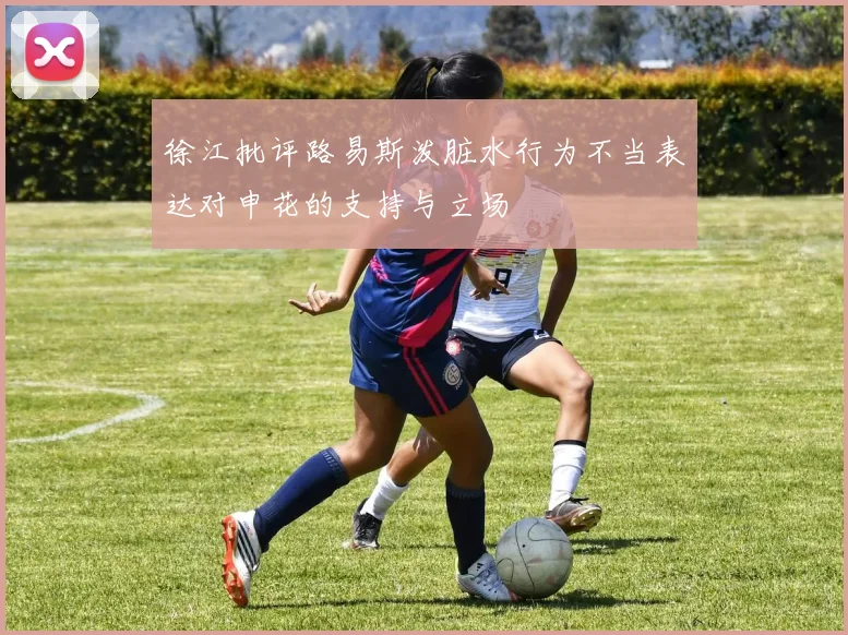 徐江批评路易斯泼脏水行为不当表达对申花的支持与立场