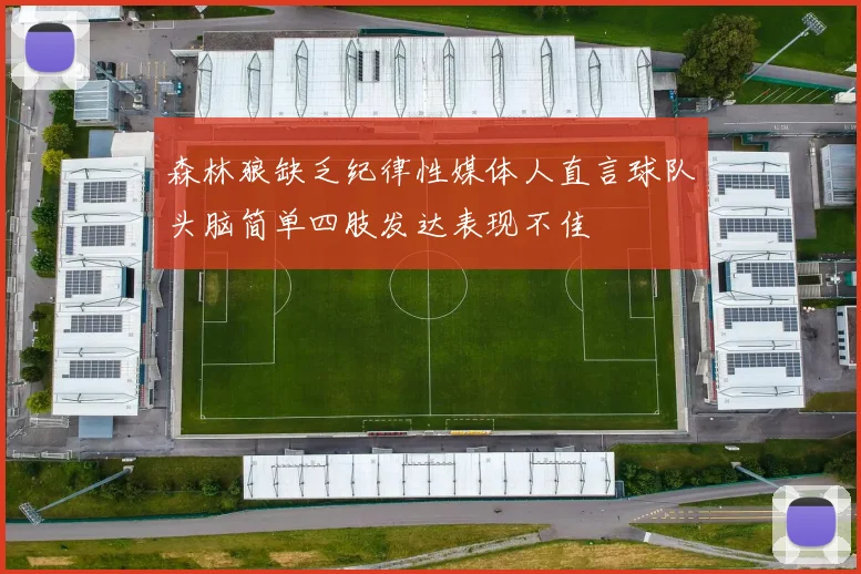 森林狼缺乏纪律性媒体人直言球队头脑简单四肢发达表现不佳